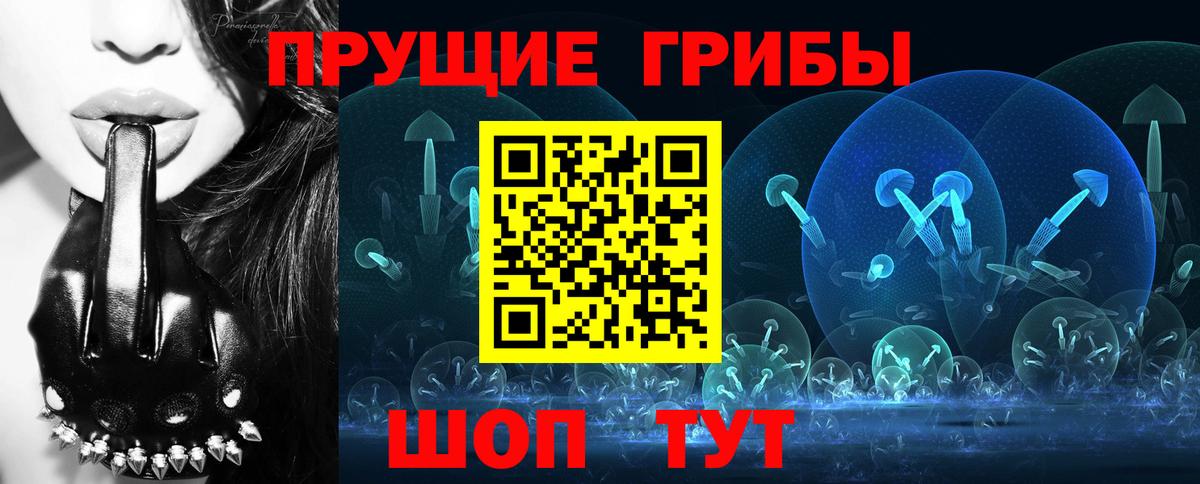 Железногорск  Псилоцибиновые грибы мицелий  Вход с VPN  Галлюциногенные грибы ЛСД 