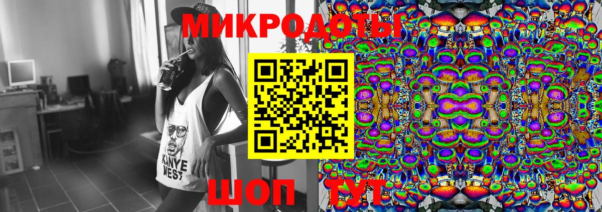 Галлюциногенные грибы Psilocybine cubensis Железногорск
